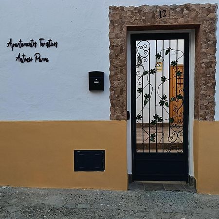 Apartamentos Turisticos A.Parra Jerez de la Frontera Exteriör bild